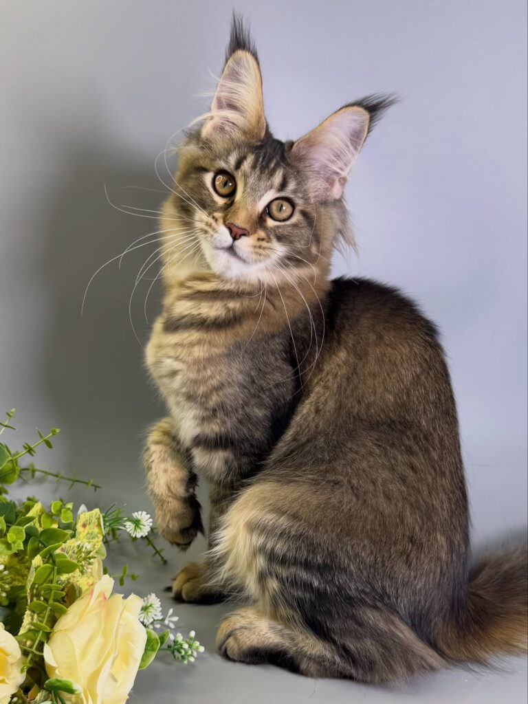 photo 10 2026 03 15 09 17 10