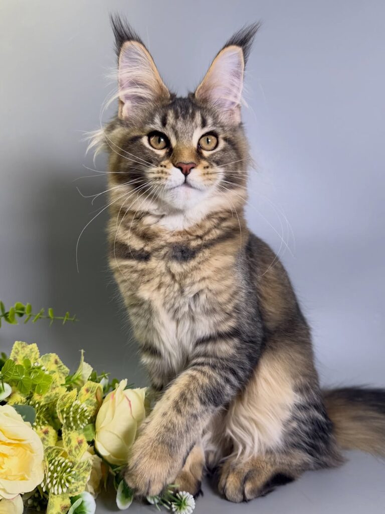 photo 1 2026 03 15 09 17 10