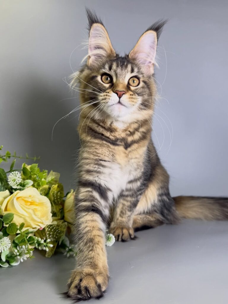 photo 5 2026 03 15 09 17 10